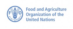 Food And Agriculture Organization Of The United Nations (FAO)